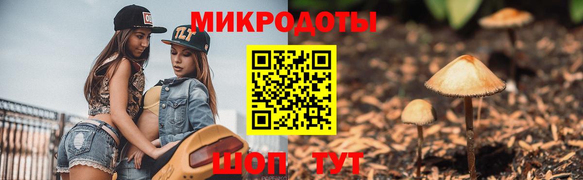 Псилоцибиновые грибы прущие грибы Касимов